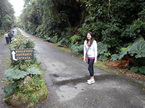 Poas Volcano National Park - A Volcano in the Cloud Forest