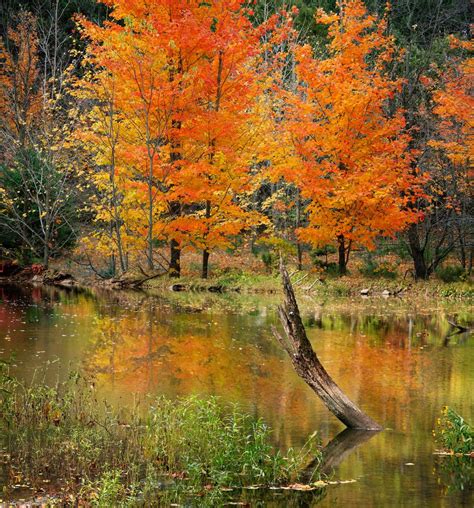 Caesar Creek State Park - Hiking Trails in Ohio