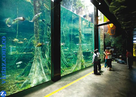 ¡ TOUR EN COLOMBIA !: ACUARIO PARQUE EXPLORA