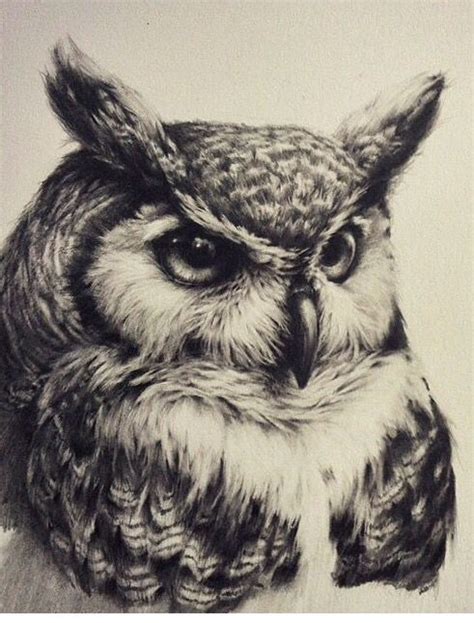 Realistic severe black-and-white owl tattoo design - Tattooimages.biz