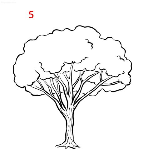 Dibujo fácil de un árbol » Cómo dibujar un árbol