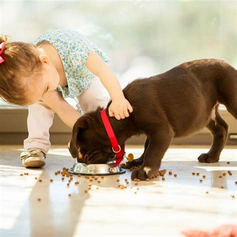 La responsabilidad de los niños con las mascotas - GRUPO DERF