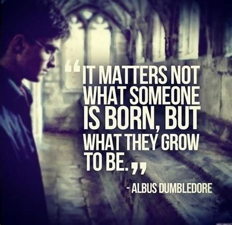 10 Life-Changing Quotes From Albus Dumbledore