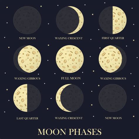 Waxing Moon Illustrations, Royalty-Free Vector Graphics & Clip Art - iStock