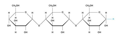 Simple starch molecule. | Download Scientific Diagram