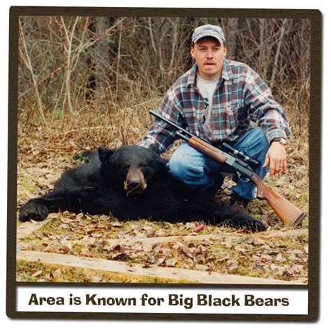 Ontario Black Bear Hunting