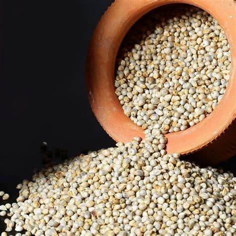 Yellow Pearl Millet Seed, Bajra, Gluten Free at Rs 20/kg in Newai | ID: 27138118962