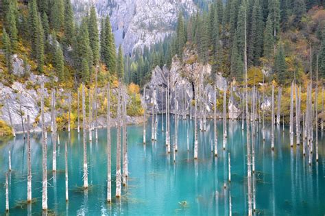 Lake Kaindy, Kazakhstan - One Of The Most Unique Lakes In The World | Avontuurreizen, Natuur ...