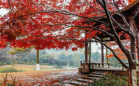 壁纸大小,手机壁纸画布尺寸,id壁纸大小(第6页)_大山谷图库