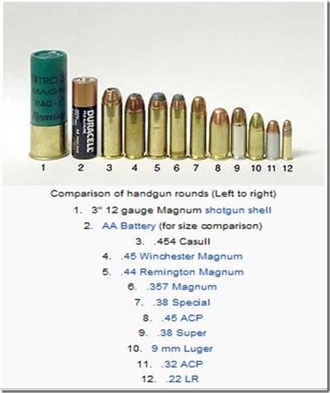 Franke Schein: Taurus “Raging Bull” .454-Casull Magnum Review