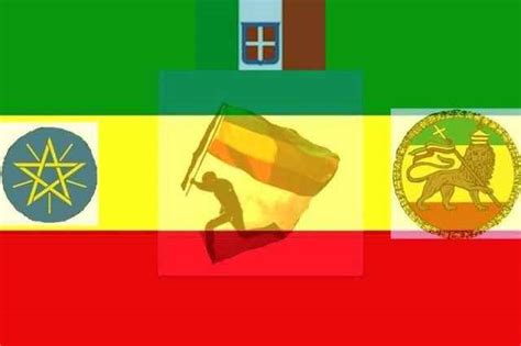 Home & Garden Yard, Garden & Outdoor Living Items 1 Dozen Ethiopia Star Flags 4x6in Stick Flag ...