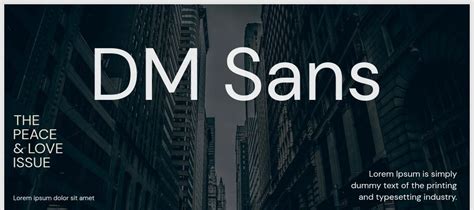 DM Sans Font Family Download | Free Font.Download