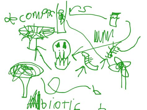 Abiotic biotic decomposers producers/ intro to ecosystems | Science | ShowMe