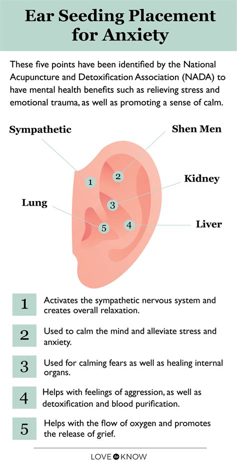 How to Use Ear Seeds for Anxiety (With Placement Chart) | LoveToKnow Health & Wellness