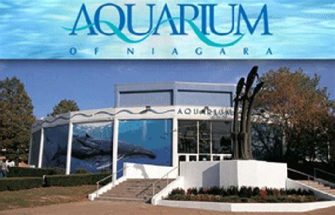 Aquarium of Niagara to Hold Annual SEAsonings Fundraiser