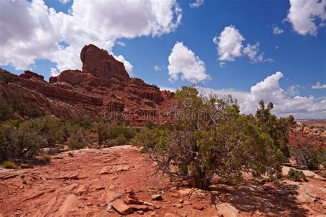 Red Desert stock image. Image of desert, natural, monolithic - 11603549