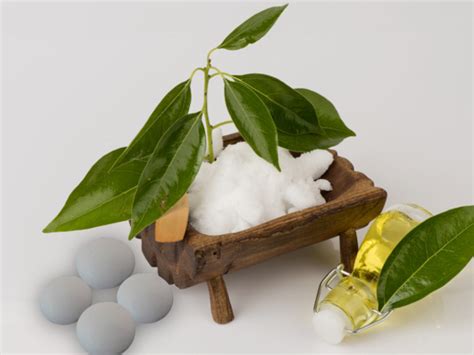 Top 6 Benefits of Camphor | Organic Facts