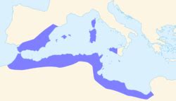 Ancient Carthage - Wikiwand