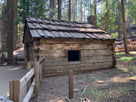 General Grant Tree Trail In Grant Grove At Kings Canyon National Park