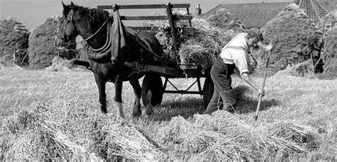 Old Fashioned Farm Fun Is Waiting For You This Saturday