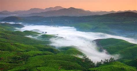 5 reasons why Munnar is the perfect Summer destination for you | Skymet Weather Services