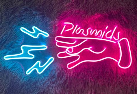 Bioshock Plasmids Neon Sign Custom Neon Sign Wall Decor - Etsy New Zealand