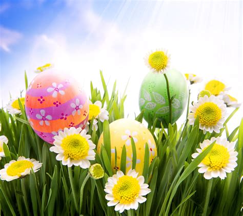 🔥 [91+] Easter Spring Wallpapers | WallpaperSafari