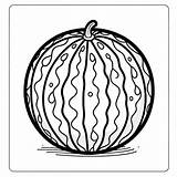 Watermelon Fruit Coloring Page Pictures  Freepik sketch template