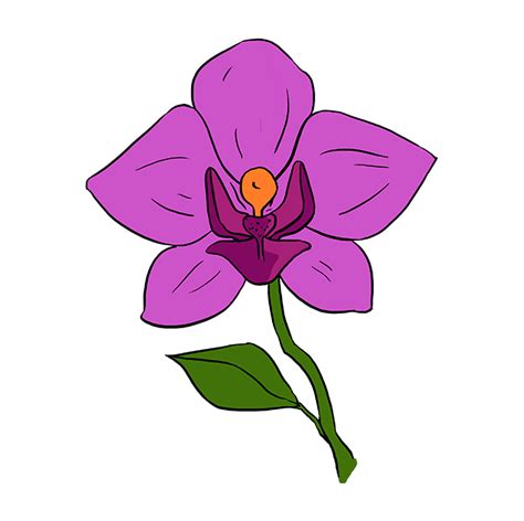 Lilac Flower Drawing | Free download on ClipArtMag