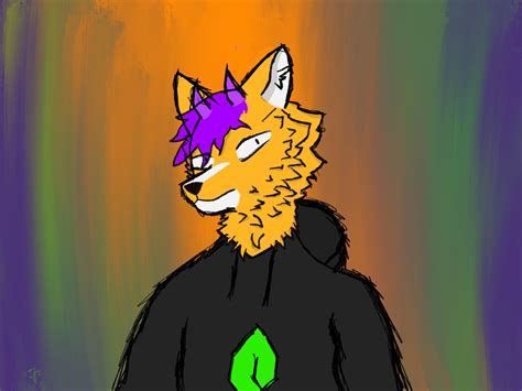 Hyan’s new hoodie : r/furry