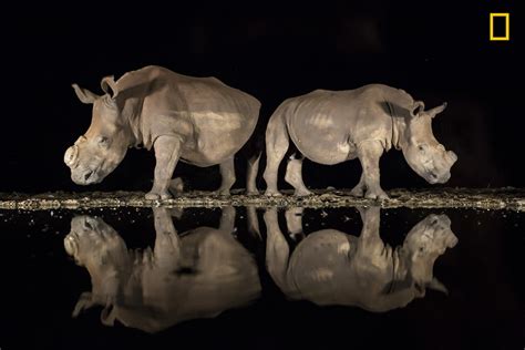 Winners of the 2018 National Geographic Photo Contest