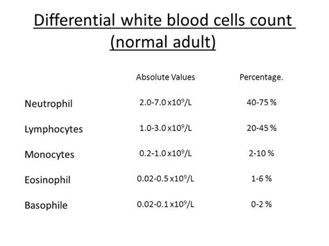 WBC Differential Count