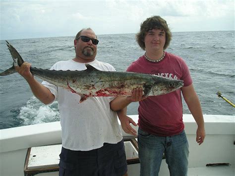 Topsail Island Fishing NC Gallery | Whipsaw