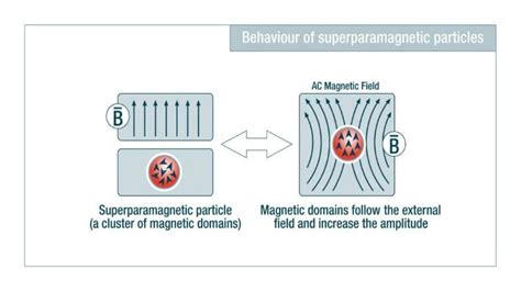 superparamagnetism and its biological applications