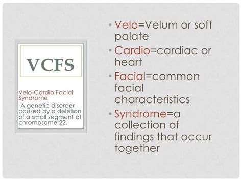 Pin on Goldberg-Shprintzen Syndrome (aka Velocardiofacial Syndrome or VCFS)