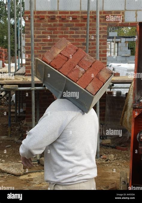 Close up of hod carrier with full load of facing bricks on house Stock Photo: 1136089 - Alamy