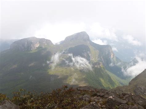 Pico da Neblina National Park (Portuguese: Parque Nacional do Pico da Neblina) is a national ...
