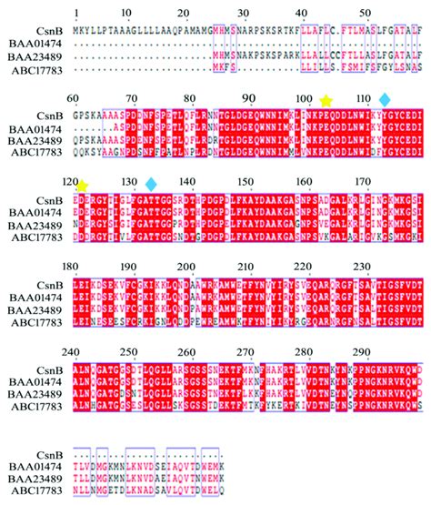 Phylogenetic analysis of CsnB and other chitosanases. The... | Download ...