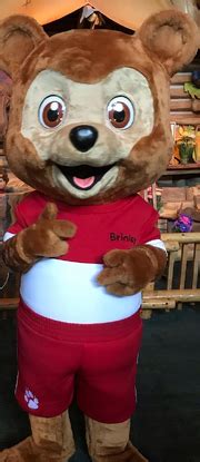 Brinley Bear | Great Wolf Lodge Wiki | Fandom