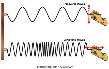 Examples Of Compression Waves