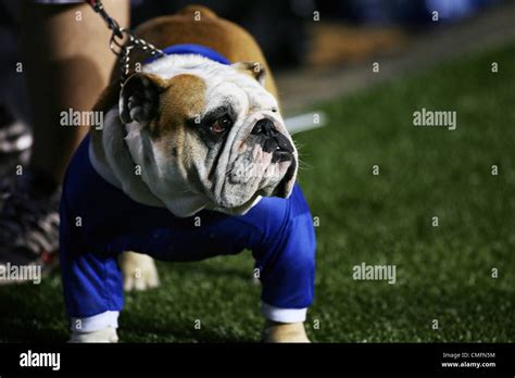 6 November 2009: Louisiana Tech Mascot Tech XX during game action ...