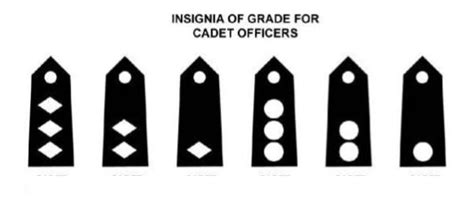 Cadet Officer Ranks Diagram | Quizlet