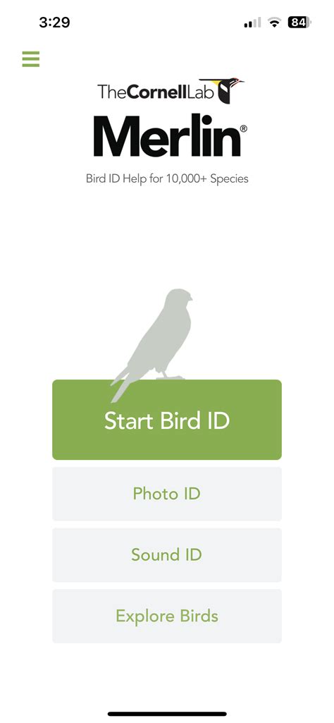 Bird Identification Using Merlin Sound ID - Birdseed & Binoculars