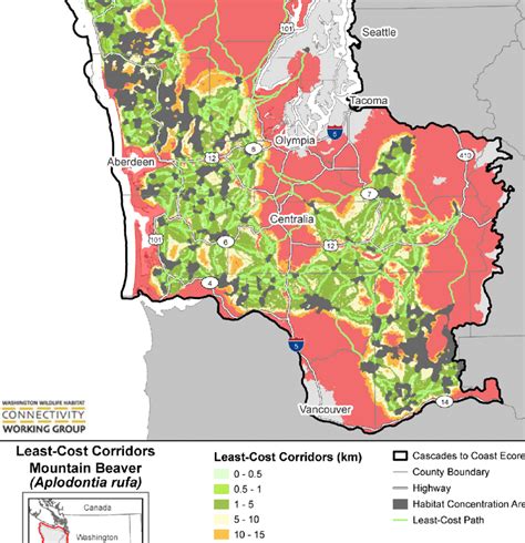 Mountain beaver habitat connectivity model, including Habitat... | Download Scientific Diagram