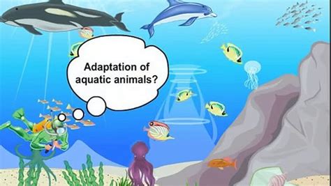 Aquatic animals and their adaptational characteristics - Overall Science