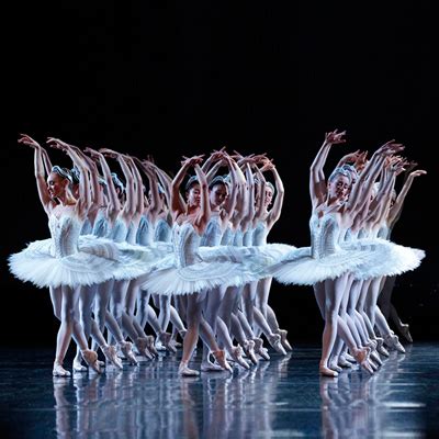 Swan Lake - The Choreography | The Australian Ballet