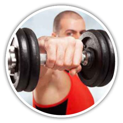 Gym Rotterdam and Schenectady, NY | Average Joe’s Fitness