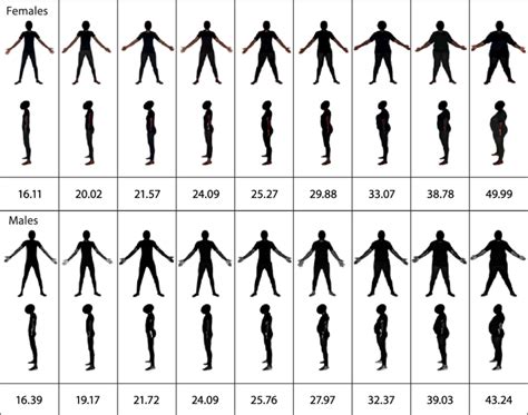 BMI-based figure rating scales developed by Cohen et al. 18 depicting ...