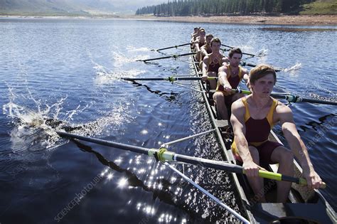 Rowing team rowing scull on lake - Stock Image - F013/9810 - Science Photo Library