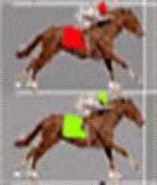 Trotting Tracks - online hra zdarma